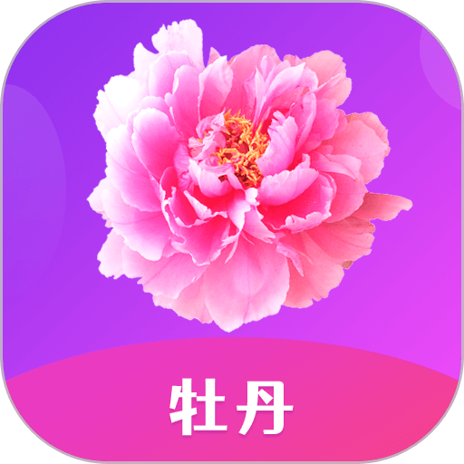 红杏网官网app